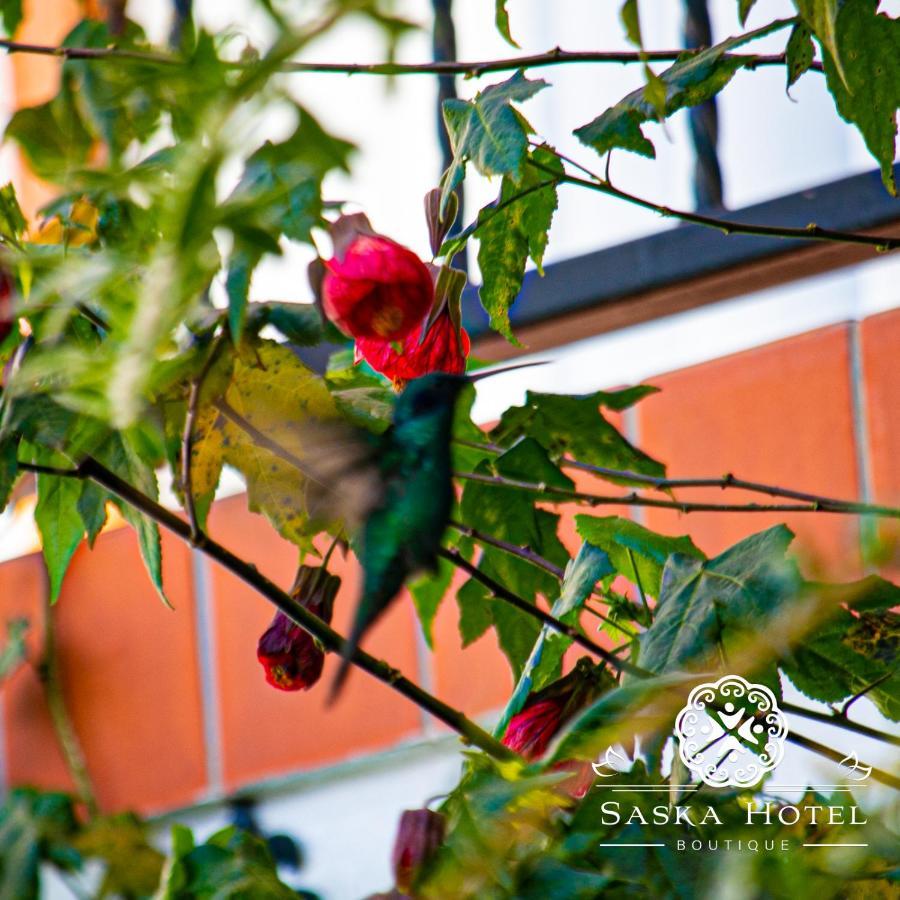 Saska Boutique Hotel Κούζκο Εξωτερικό φωτογραφία