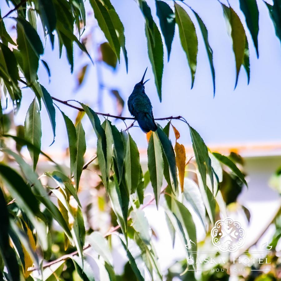 Saska Boutique Hotel Κούζκο Εξωτερικό φωτογραφία
