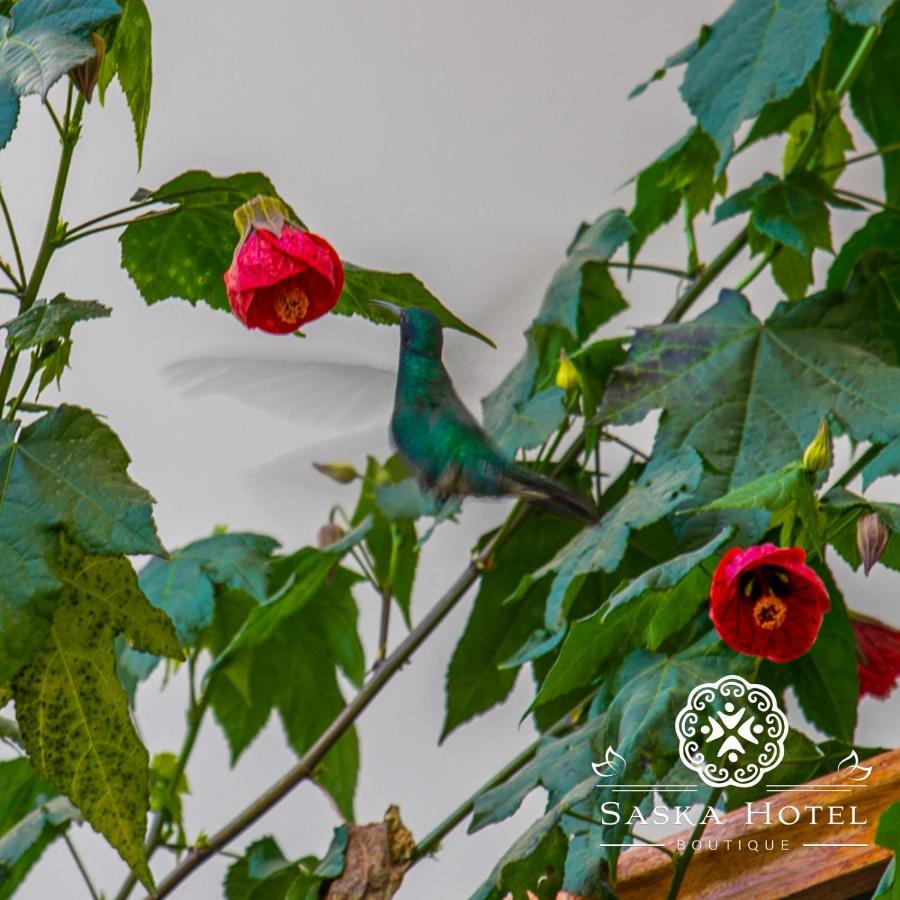 Saska Boutique Hotel Κούζκο Εξωτερικό φωτογραφία
