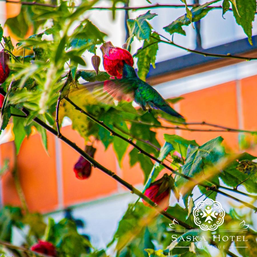 Saska Boutique Hotel Κούζκο Εξωτερικό φωτογραφία